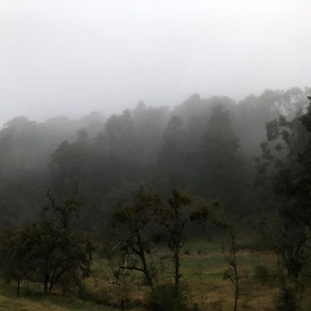 Cabana Romantica En El Bosque! Acaxochitlan Экстерьер фото